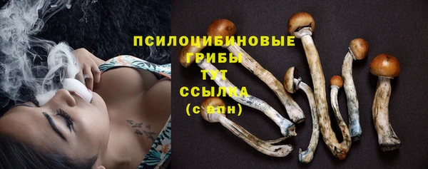 стафф Балабаново